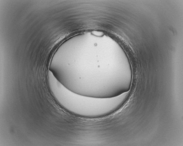 X0000115440873200911251244