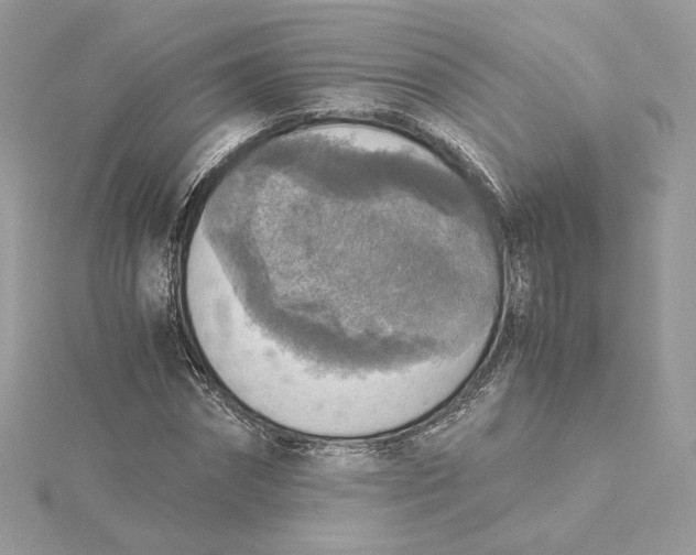 X0000115440874200911251244