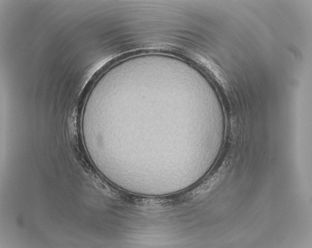 X0000115440875200911251244