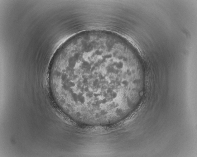 X0000115440879200911251244