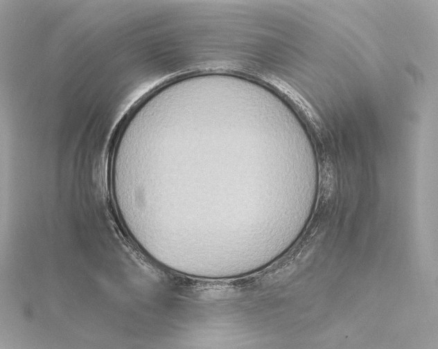 X0000115440886200911251243