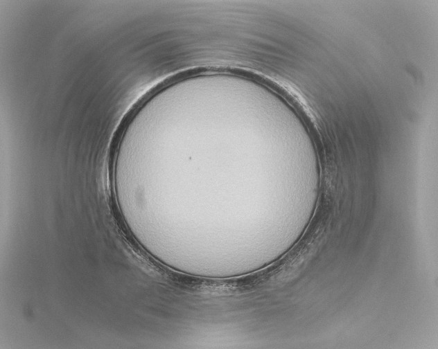 X0000115440887200911251243