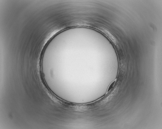 X0000115440893200911251243