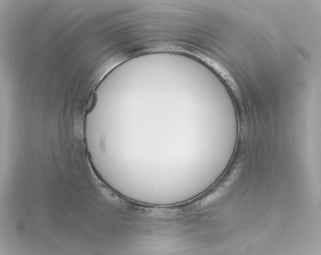 X0000115440905200911251243