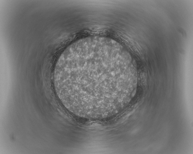 X0000115440913200911251243