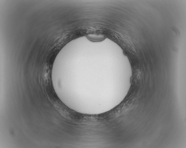 X0000115440914200911251243