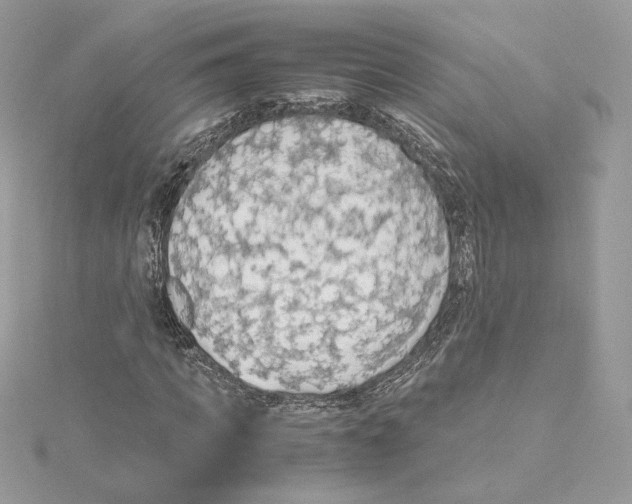 X0000115440917200911251243