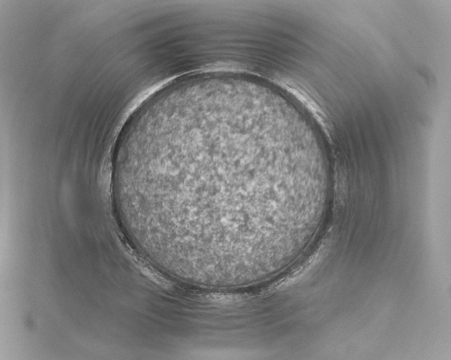 X0000115440933200911251243