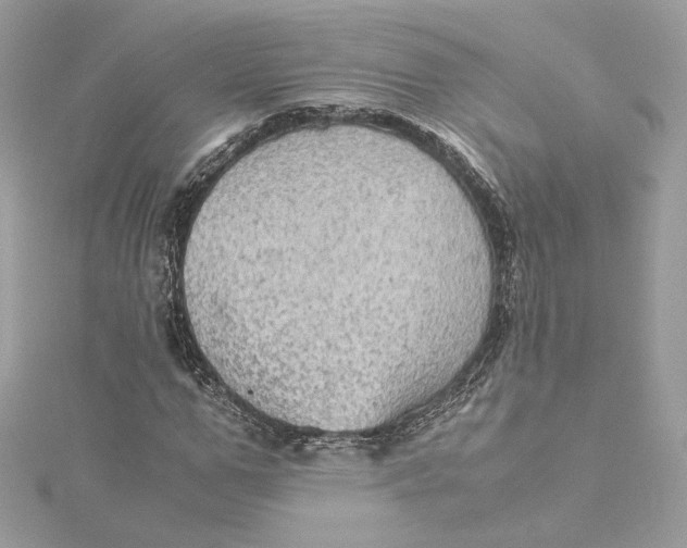 X0000115440967200911251242