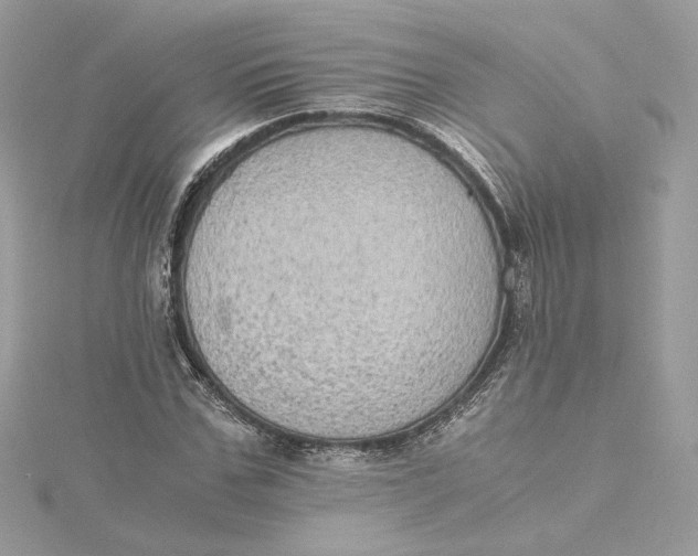 X0000115440971200911251242
