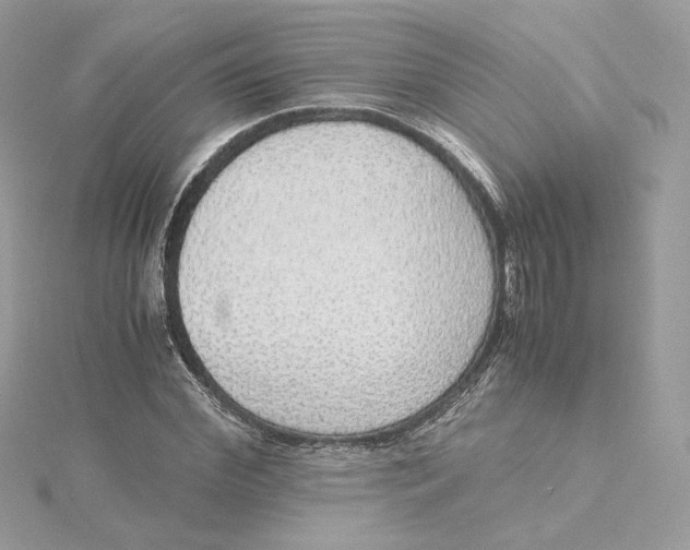 X0000115440972200911251242