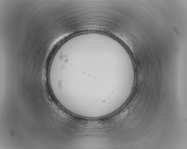 X0000115440979200911251242