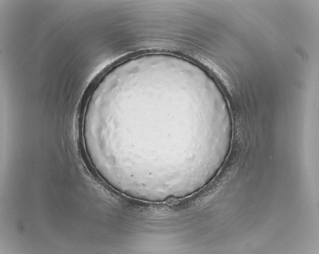 X0000115440983200911251242