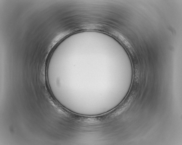 X0000115440986200911251242