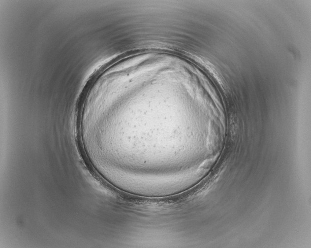 X0000115440987200911251242
