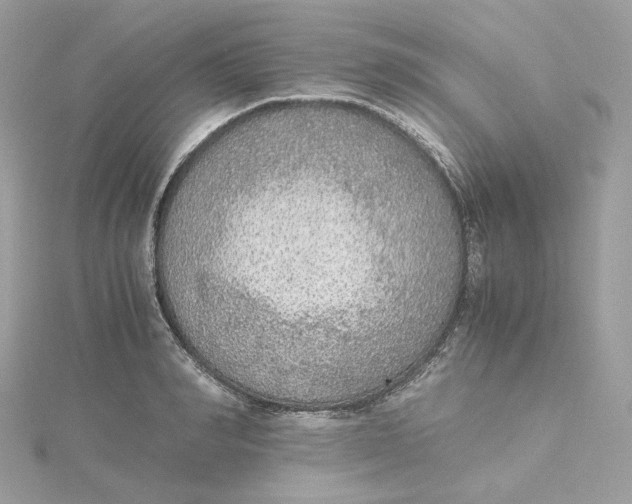 X0000115440990200911251242