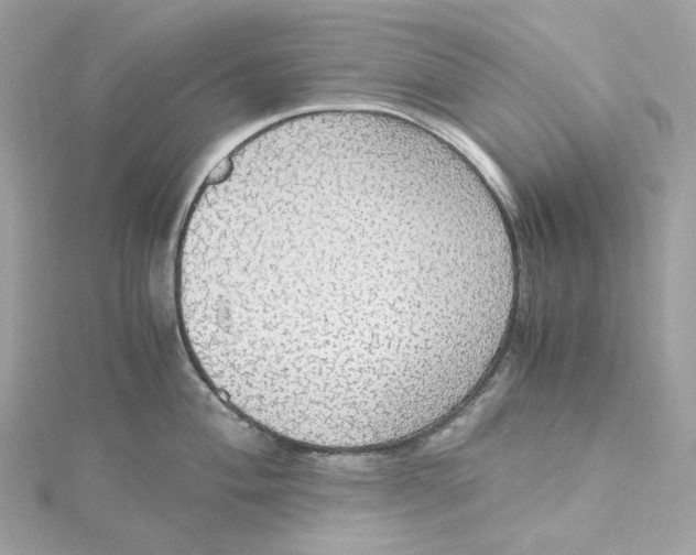 X0000115441004200911251242