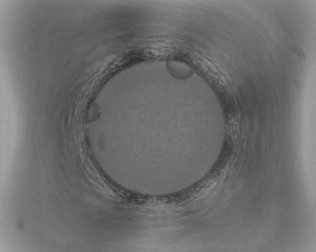 X0000115441009200911251241