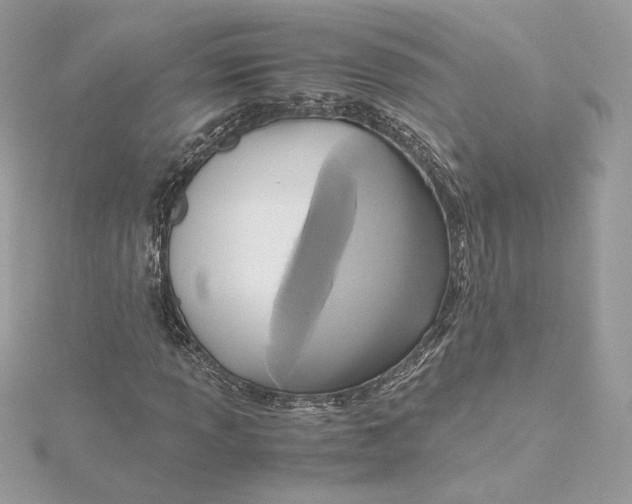 X0000115441013200911251241