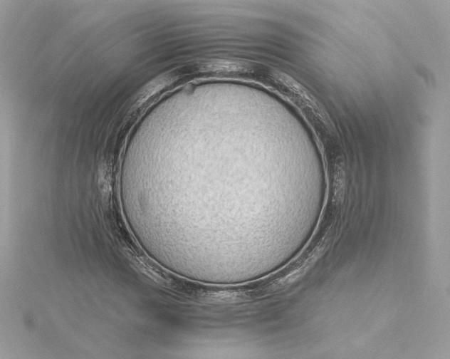 X0000115441017200911251241