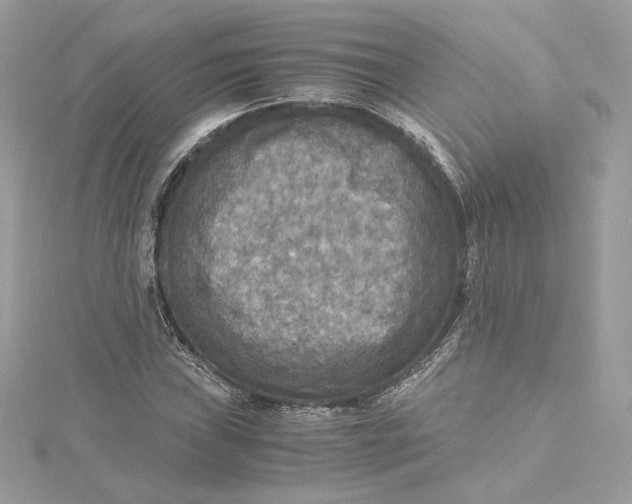 X0000115441019200911251241