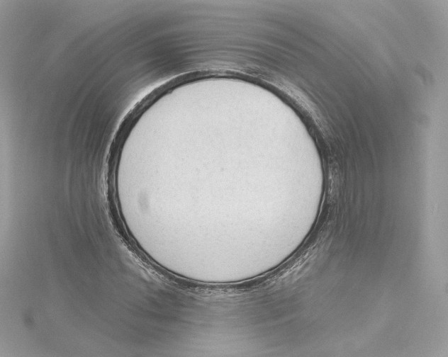 X0000115441020200911251241