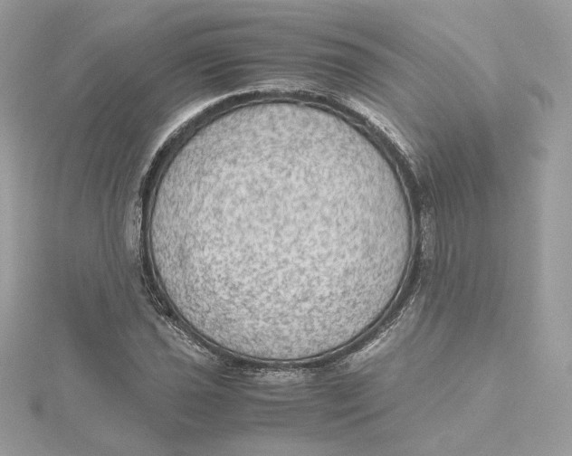 X0000115441021200911251241