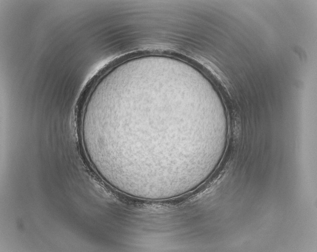 X0000115441022200911251241
