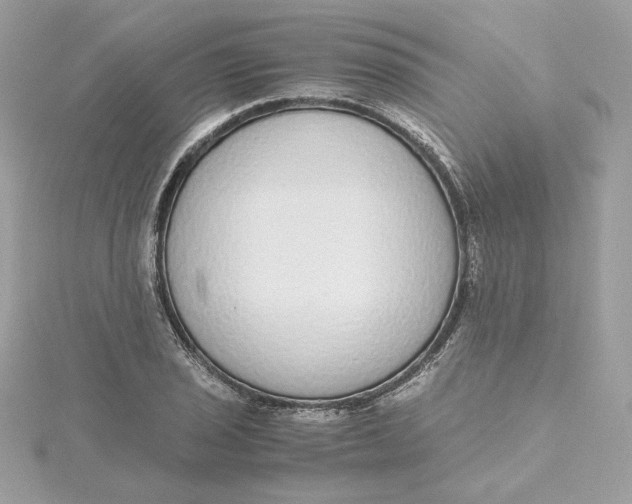 X0000115441029200911251242