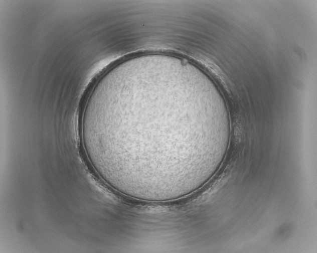 X0000115441030200911251242