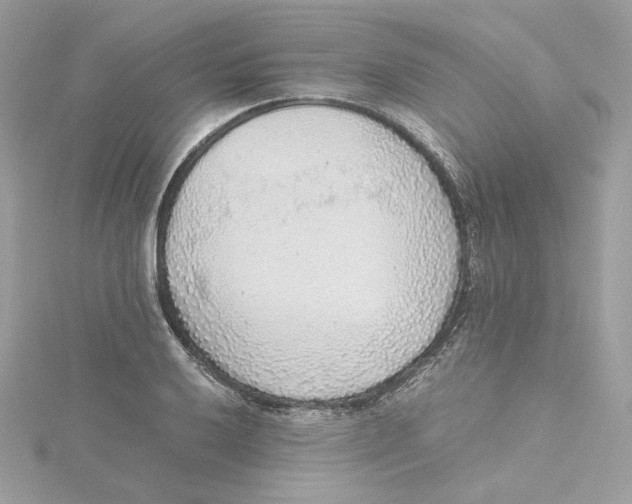 X0000115441032200911251242