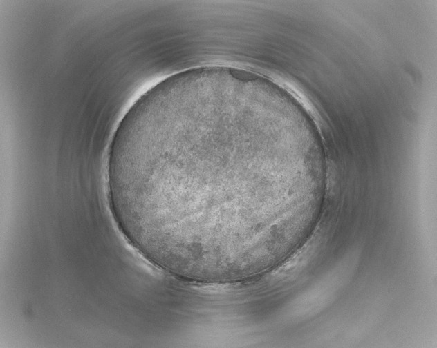 X0000115441048200911251242