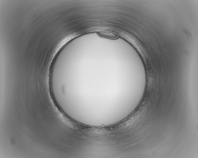 X0000115441050200911251242