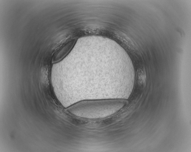 X0000115441060200911251241