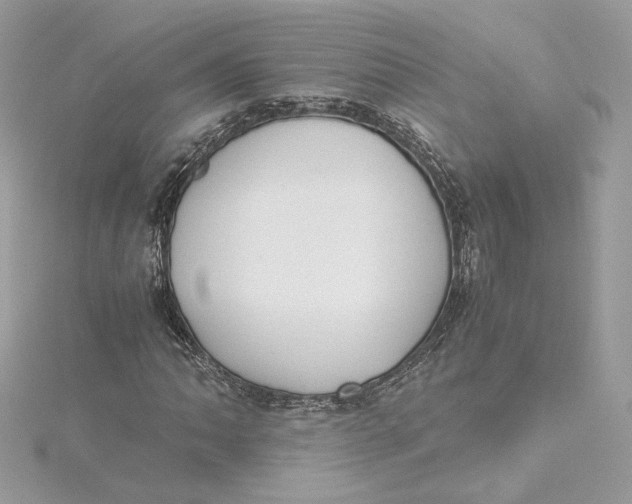 X0000115441062200911251241