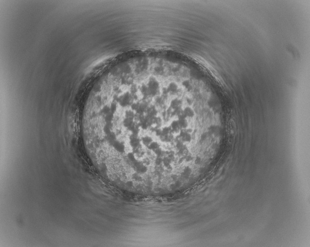 X0000115441063200911251241