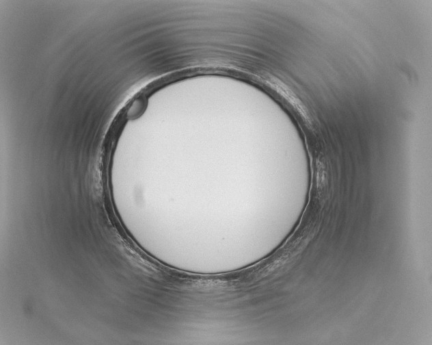 X0000115441068200911251241