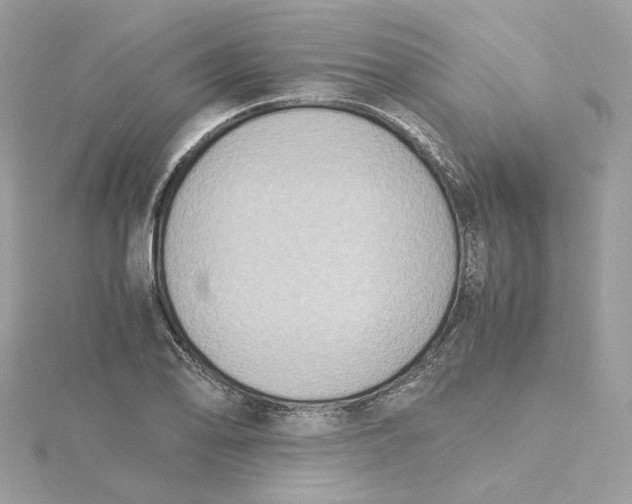 X0000115441078200911251241