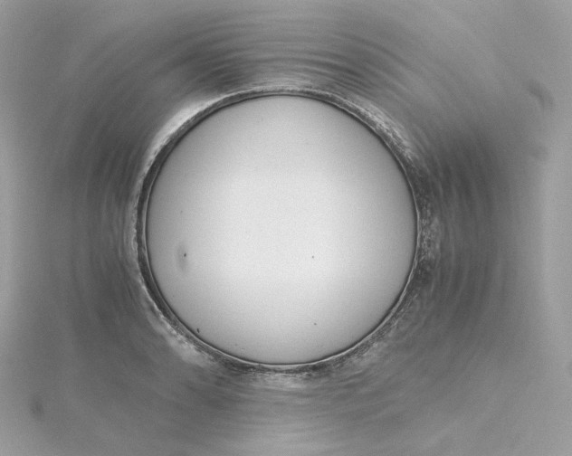 X0000115441086200911251241