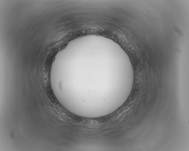 X0000115441109200911251240
