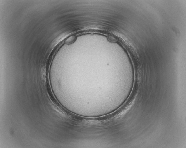 X0000115441113200911251240