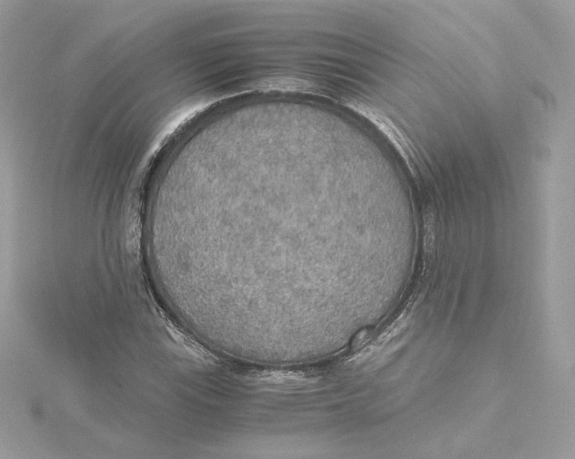 X0000115441115200911251240
