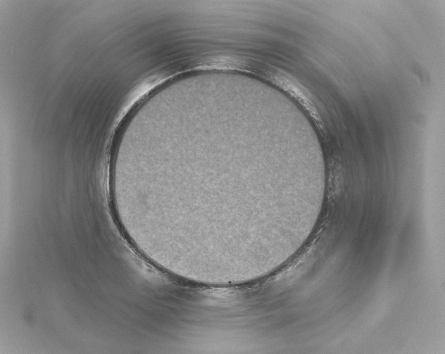X0000115441130200911251240