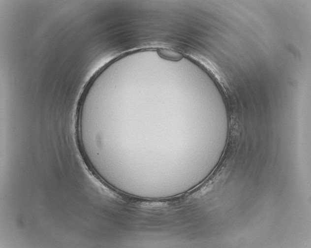X0000115441135200911251240