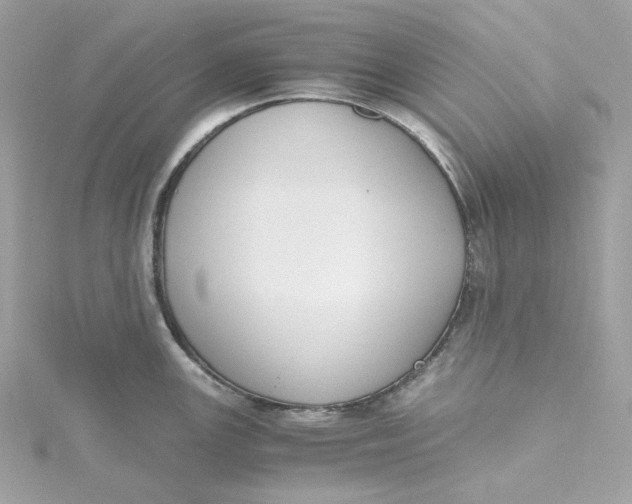 X0000115441147200911251241