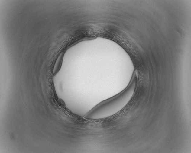 X0000115441153200911251240