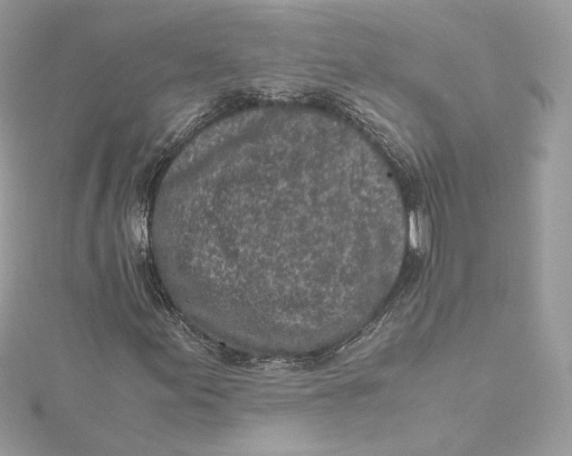 X0000115441155200911251240