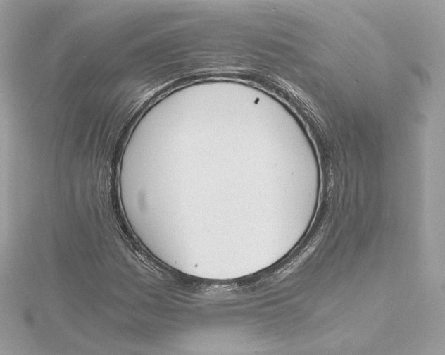 X0000115441161200911251240