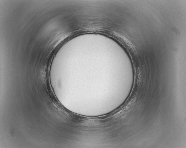 X0000115441162200911251240