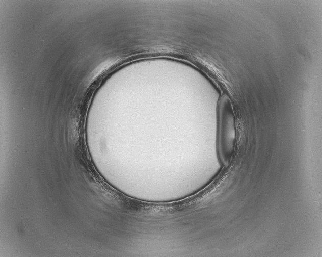 X0000115441163200911251240